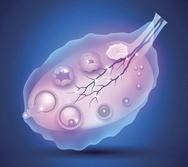 深圳北大医院做一次人工授精要多少钱？